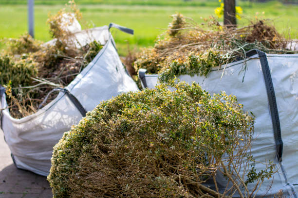 Best Electronics and E-Waste Disposal  in Wahneta, FL